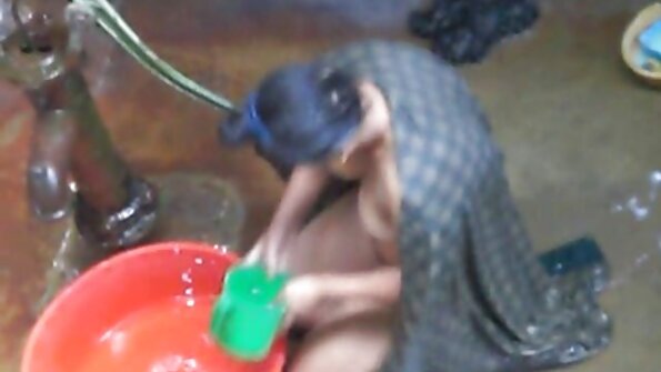 வழுக்கை ஸ்டாலியன் கேண்டி லைசியஸின் சிறந்த பரிசைப் பெறுகிறது
